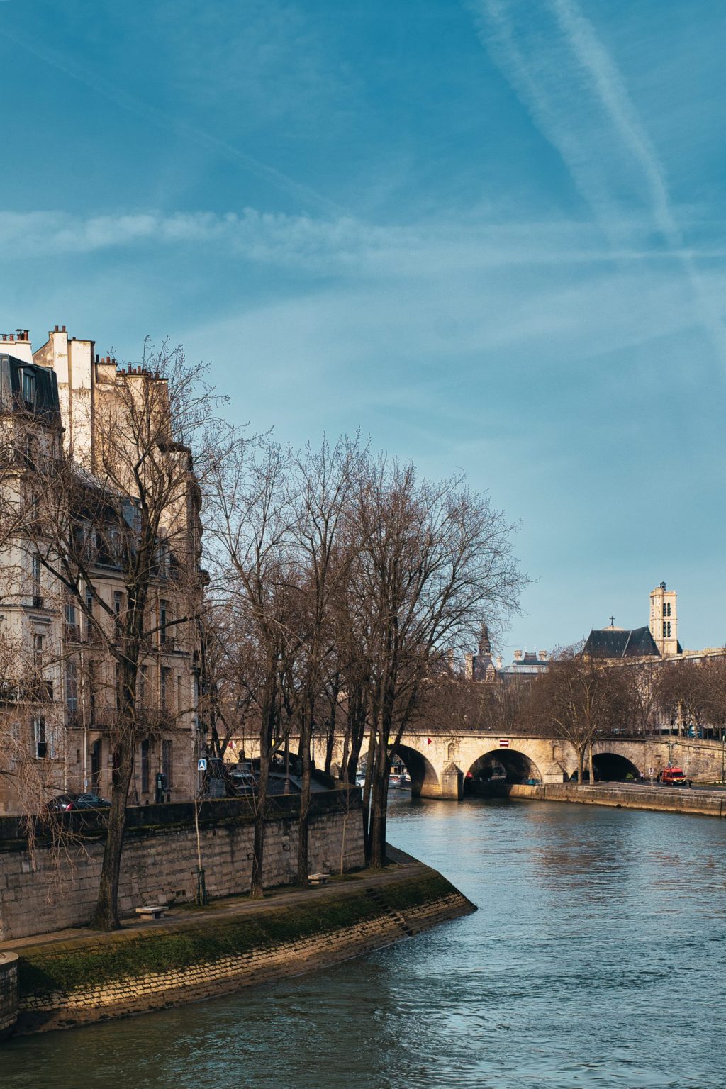 Quai arboré au bord de la Seine et pont de pierre à Paris, sous un ciel d'hiver